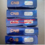 VÒNG BI-BẠC ĐẠN-Ổ BI CNB 6300-6301-6302-6303-6304-6305-6306-6307-6308-6309-6310-6311-6312-6313-6314-6315-6316-6317-6318-6319-6320